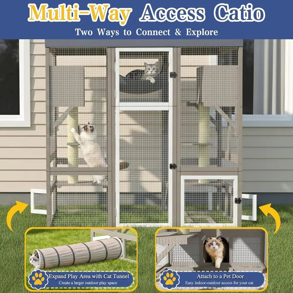 Outdoor Walk In Cat Enclosure For Multiple Cats With Platforms