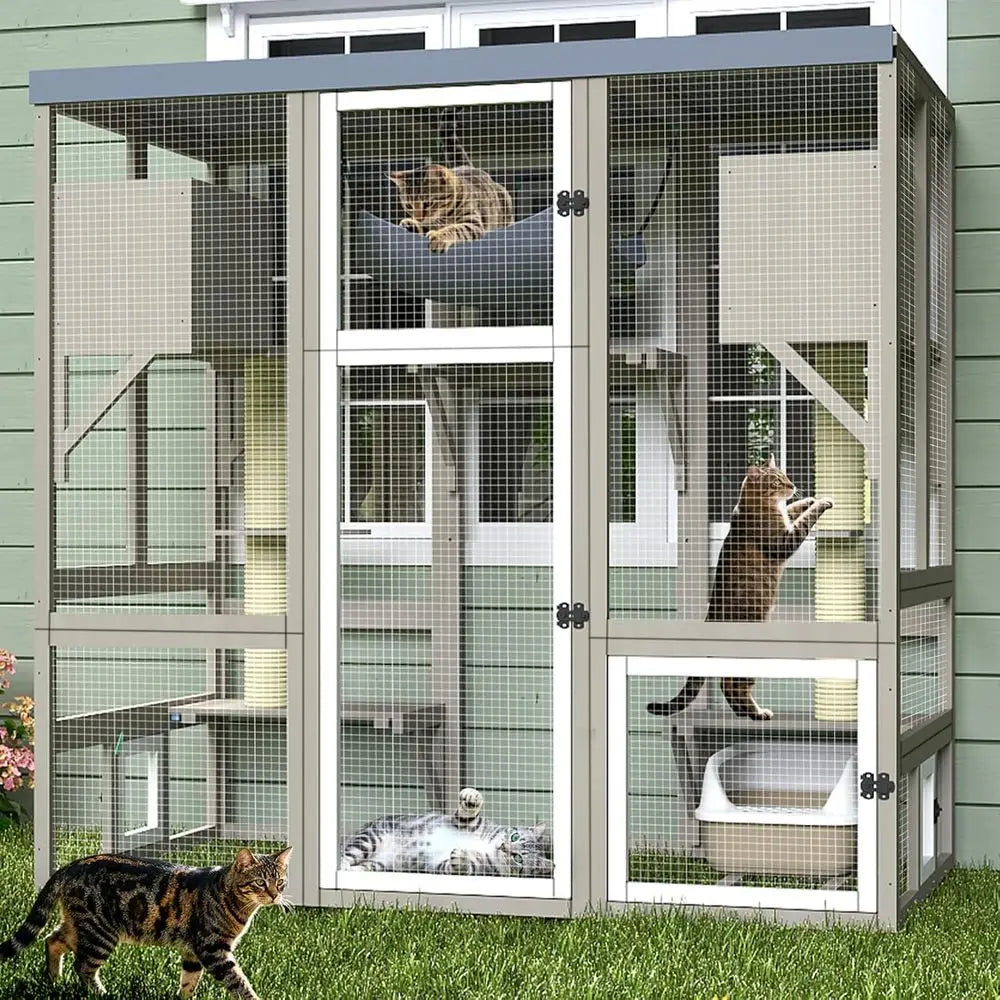 Outdoor Walk In Cat Enclosure For Multiple Cats With Platforms
