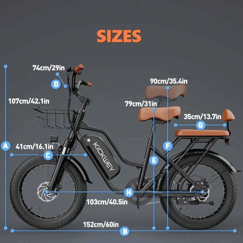 Kickwey LD20 Electric Mountain Bike 48V 20Ah Removable Battery