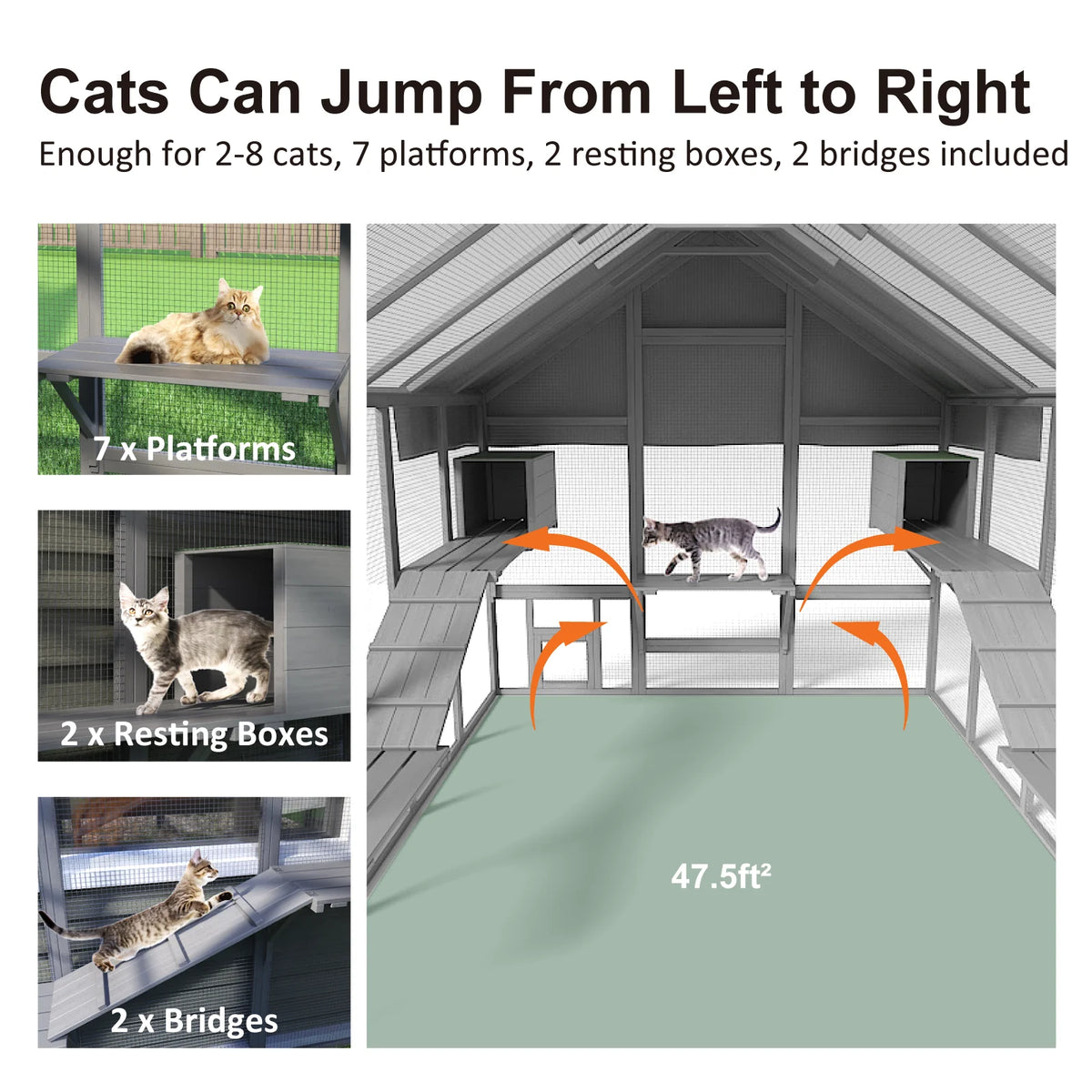 Outdoor Cat Enclosure With Condos Platforms And Bridges