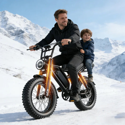 ZEFIORA V10 Electric Fat Bike 1000W 2000W Dual Motors