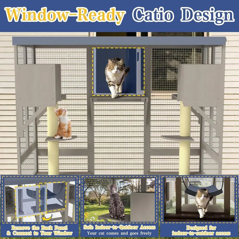 Outdoor Walk In Cat Enclosure For Multiple Cats With Platforms