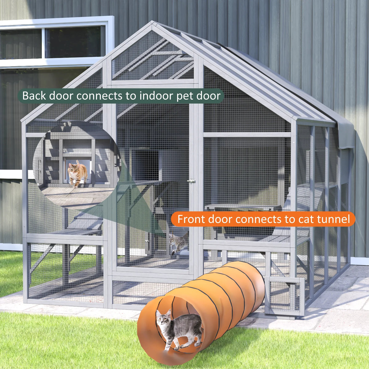 Outdoor Cat Enclosure With Condos Platforms And Bridges