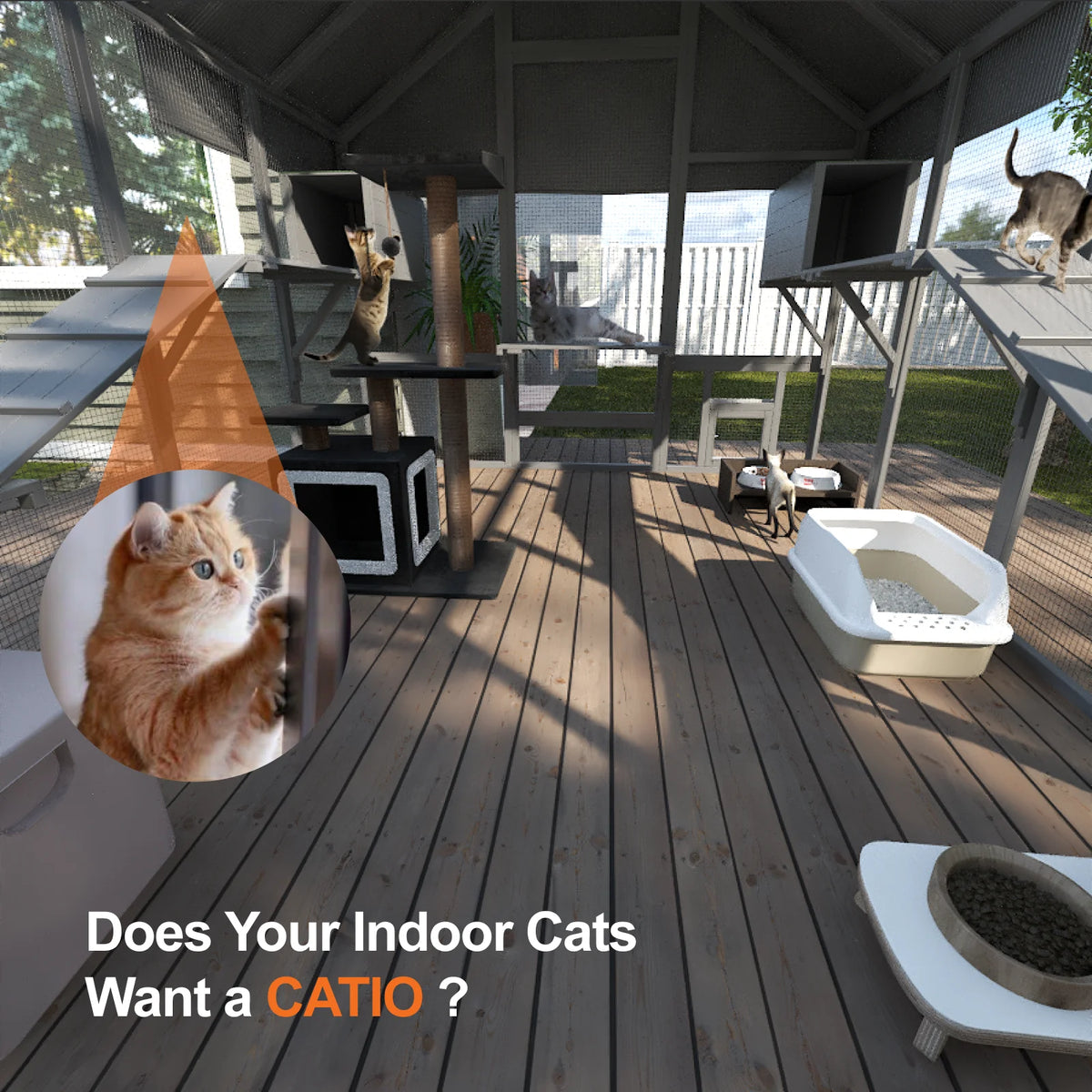 Outdoor Cat Enclosure With Condos Platforms And Bridges