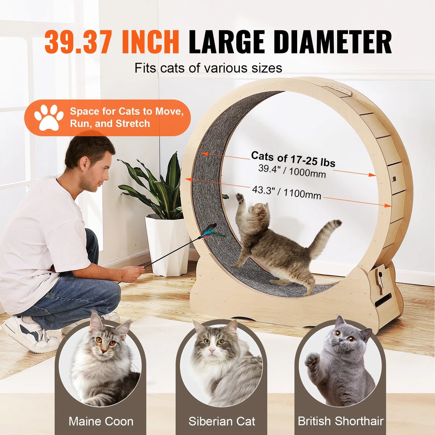 Wooden Cat Exercise Wheel For Indoor Running Safe Durable